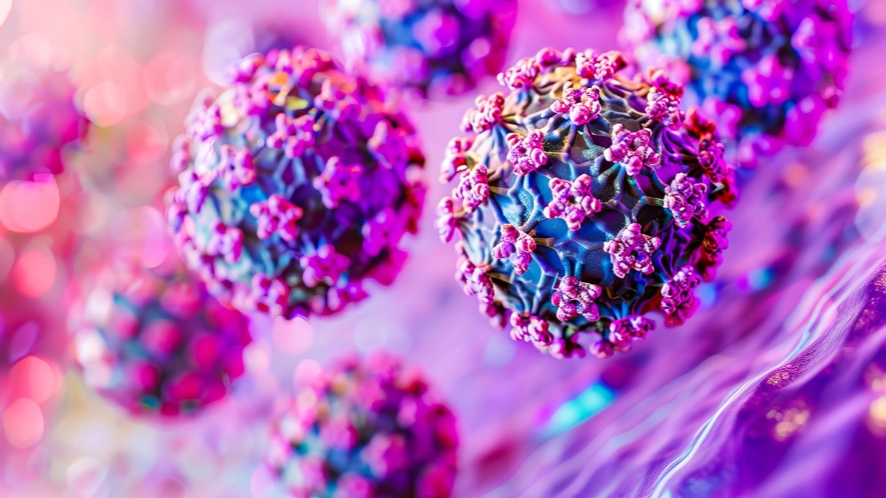 Papilomavírus humano (HPV): tudo o que você precisa saber